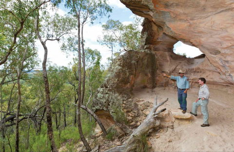 Pilliga National Park - Tourism Guide 0