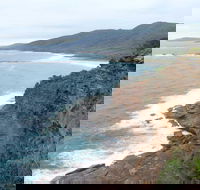 Pretty Beach to Snapper Point Walking Track - Cruises Travel