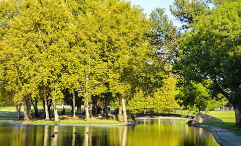 Rymill Park/Murlawirrapurka - Tourism Guide 0