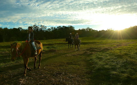 Scenic NSW Horse Riding Centre - Tourism Guide 0