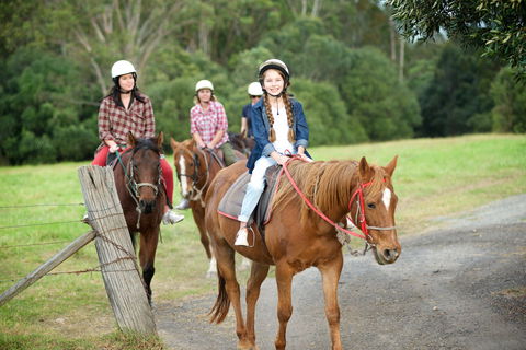 Scenic NSW Horse Riding Centre - Tourism Guide 2