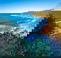 Shellgrit Beach Red Head - Tourism Guide