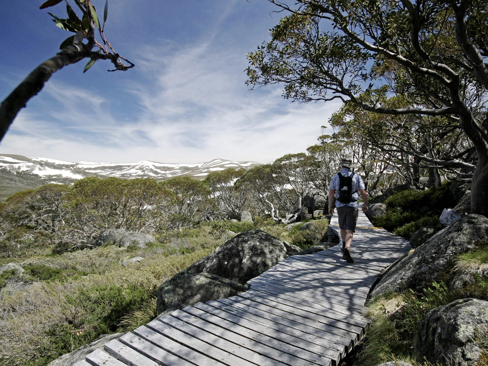 Pilot Wilderness NSW Tourism Guide