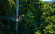 Tamborine Rainforest Skywalk - thumb 0