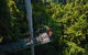 Tamborine Rainforest Skywalk - thumb 1