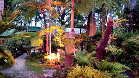 The Fernery At Diamond Waters - Tourism Guide 0