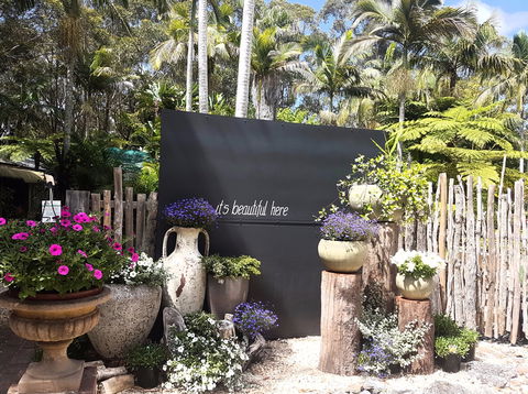 The Fernery At Diamond Waters - Tourism Guide 1