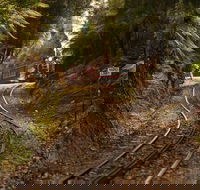 The West Coast Wilderness Way - Tourism Guide