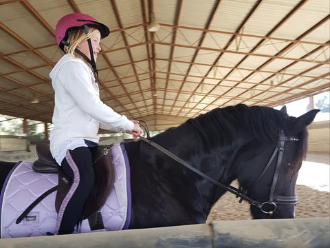 The Equine Club - Tourism Guide 1