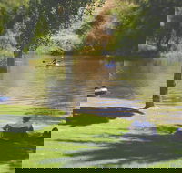 The Lions Junction Park - Tumut - Cruises Travel