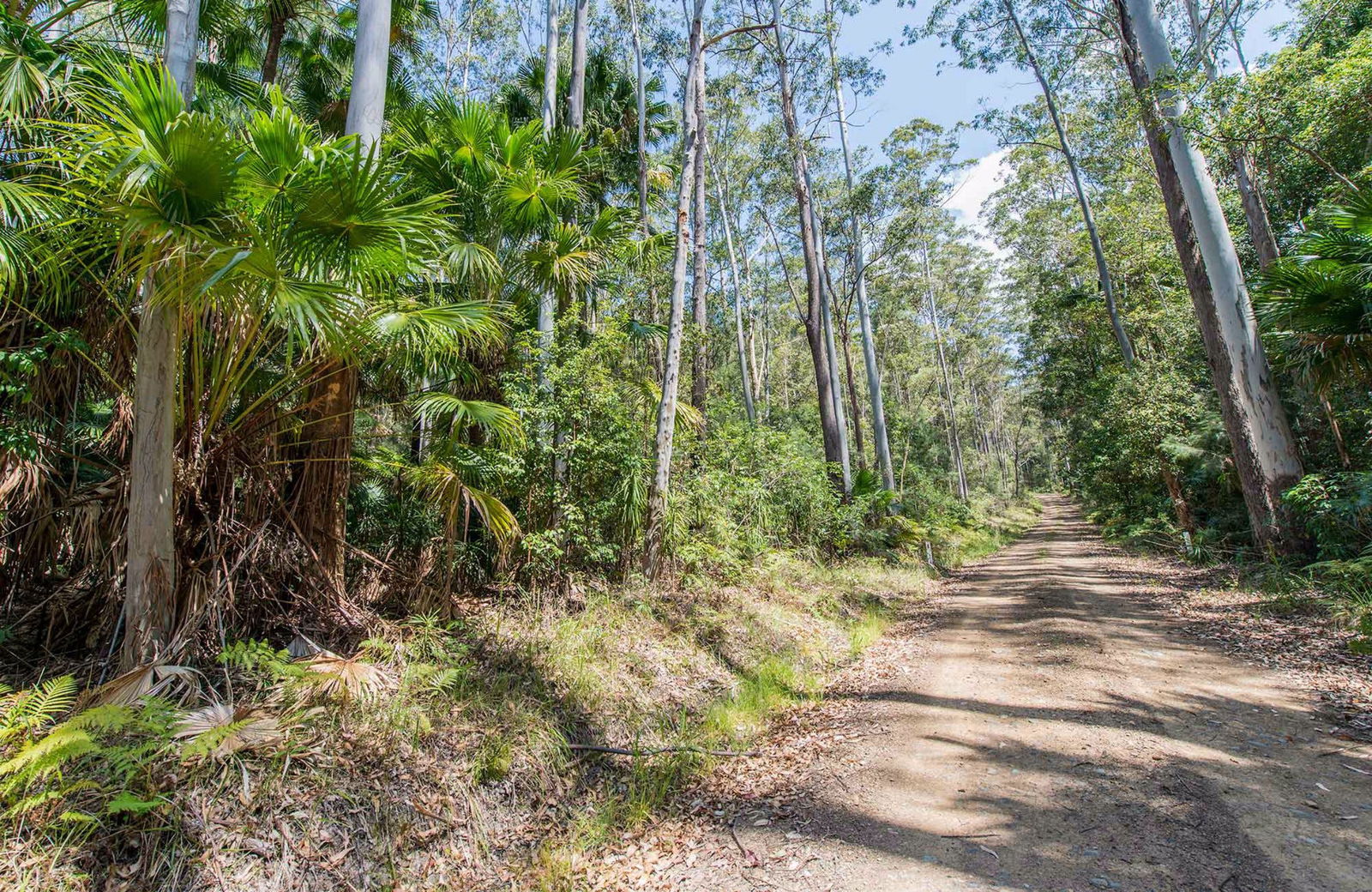 Coomba Bay NSW Tourism Guide