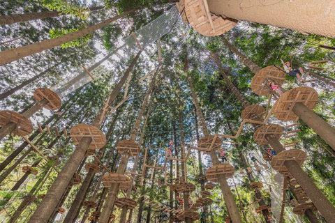 TreeTops Sydney The Hills - Travel Agents 1