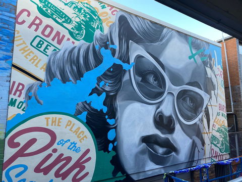 Walk The Walls Cronulla Street Art Trail - Travel Search 2