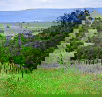Wild Dog Barrier Fence - Tourism Guide