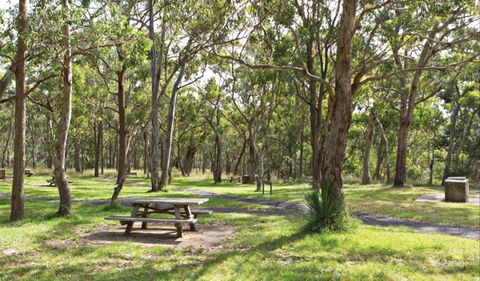 Wollomombi Gorge And Falls Picnic Area - Tourism Guide 0