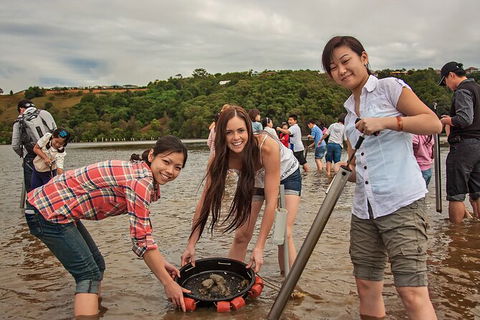 Catch A Crab Tour With Optional Seafood Lunch - Tourism Guide 6