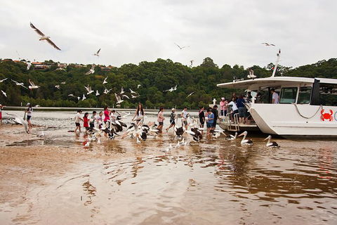 Catch A Crab Tour With Optional Seafood Lunch - Tourism Guide 1