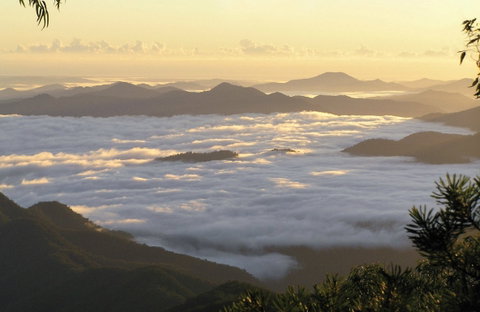 Banksia Point Picnic Area - Tourism Guide 0