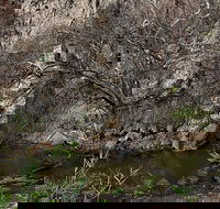 Brisbane Ranges National Park - Tourism Guide