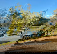 Eildon Pondage Walk - Travel Agents