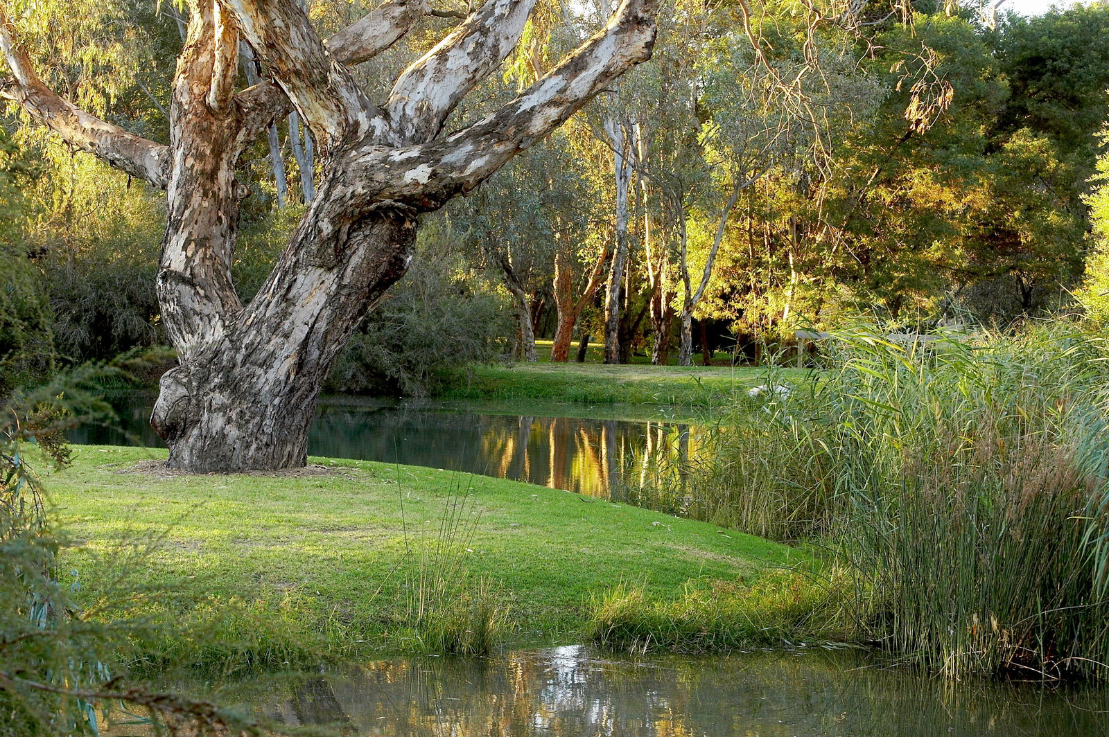 Gateway Island VIC Cruises Travel