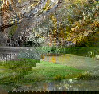 Gateway Island Parklands - Cruises Travel