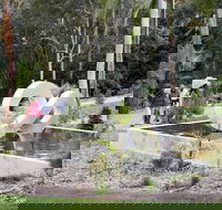 Maroochy Regional Bushland Botanic Garden - Tourism Guide