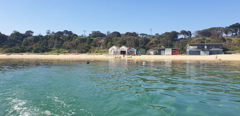 Mothers Beach, Mornington - Tourism Guide 0