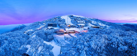 Mt Buller Alpine Resort - Travel Agents 0