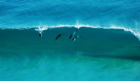 Sand Patch - Travel Agents 1