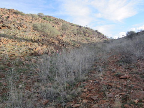 Sundown Nature Trail - Tourism Guide 2