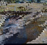 Wangaraleednie Monument  Ruins - Tourism Guide