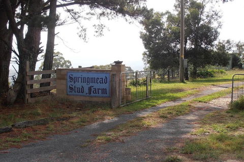 Interactive Farm Tours On A Beef, Lamb And Duck Farm - Cruises Travel 0