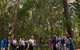 Breakfast Bushwalk Tour In Captain Cook\'s Monument - thumb 0