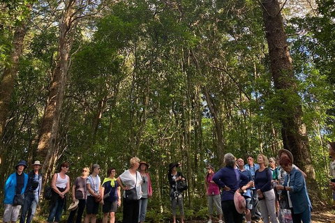 Breakfast Bushwalk Tour In Captain Cook\'s Monument - Tourism Guide 0