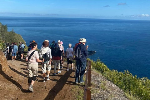 Breakfast Bushwalk Tour In Captain Cook\'s Monument - Tourism Guide 2
