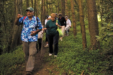 Breakfast Bushwalk Tour In Captain Cook\'s Monument - Tourism Guide 4