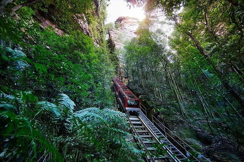 All-Inclusive Blue Mountains Tour In A Luxury Mercedes Sprinter - Cruises Travel 8