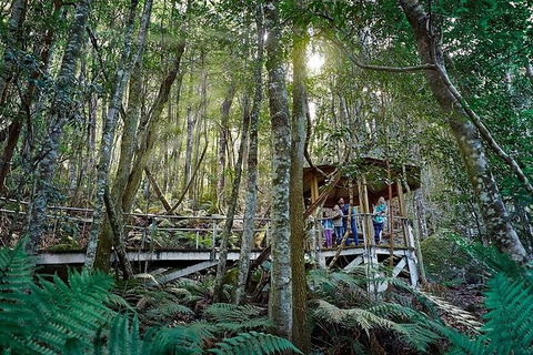 All-Inclusive Blue Mountains Tour In A Luxury Mercedes Sprinter - Cruises Travel 6