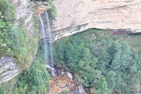 All-Inclusive Blue Mountains Tour In A Luxury Mercedes Sprinter - Cruises Travel 9
