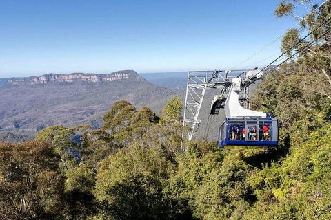 All-Inclusive Blue Mountains Tour In A Luxury Mercedes Sprinter - Cruises Travel 11