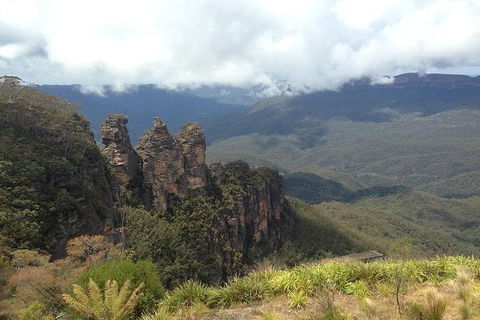 All-Inclusive Blue Mountains Tour In A Luxury Mercedes Sprinter - Cruises Travel 3