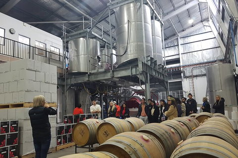 Hunter Valley Small Group Wine, Gin, Cheese & Chocolate Tour - Tourism Guide 6