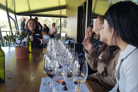 Hunter Valley Small Group Wine, Gin, Cheese & Chocolate Tour - Tourism Guide 2
