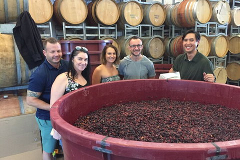 Hunter Valley Small Group Wine, Gin, Cheese & Chocolate Tour - Tourism Guide 0