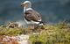 From The Mountains To The Bay - 4 Day Rediscovery Small Group Tour - thumb 5