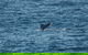 From The Mountains To The Bay - 4 Day Rediscovery Small Group Tour - thumb 8