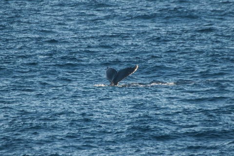 From The Mountains To The Bay - 4 Day Rediscovery Small Group Tour - Cruises Travel 8