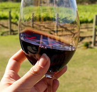Wine Tasting in Canberra Region - Tourism Guide