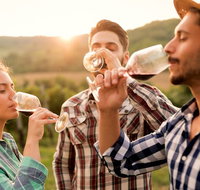 All-inclusive Morning Wine Tour in Orange - Tourism Guide